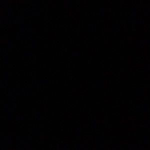 Meet your Posher, Shane